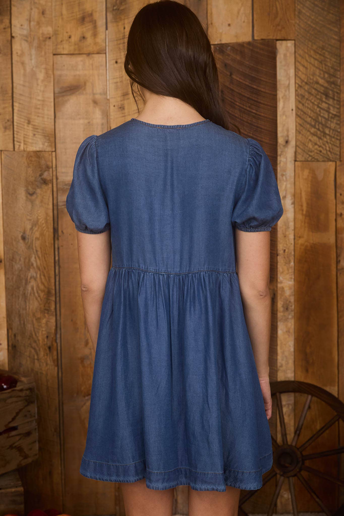 Chambray Front Tie Dress