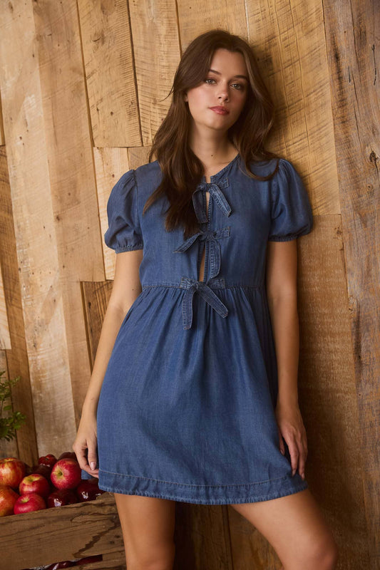 Chambray Front Tie Dress