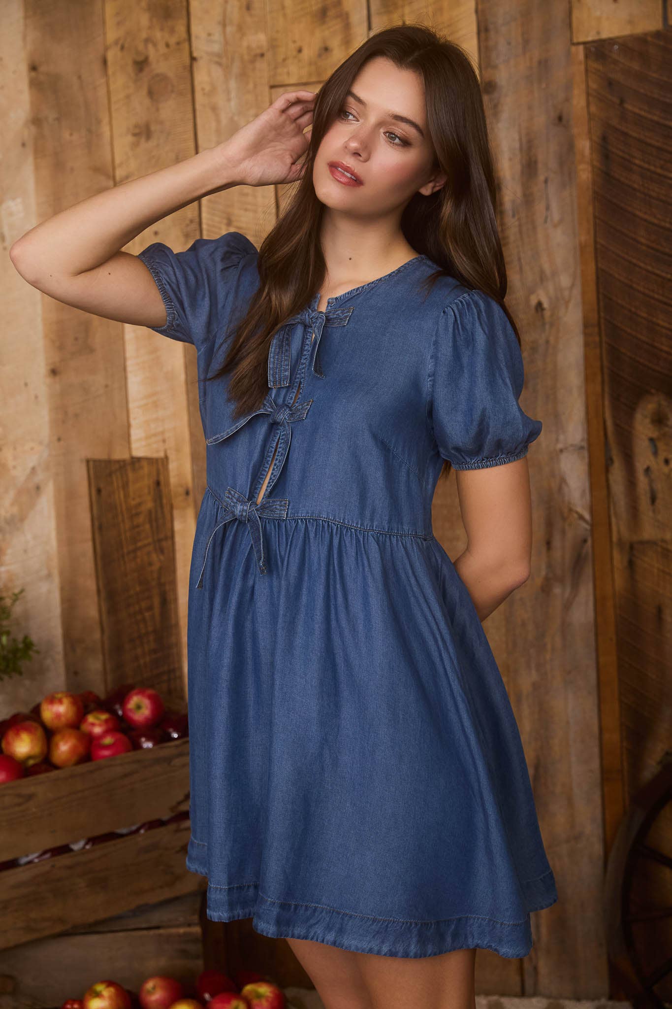 Chambray Front Tie Dress